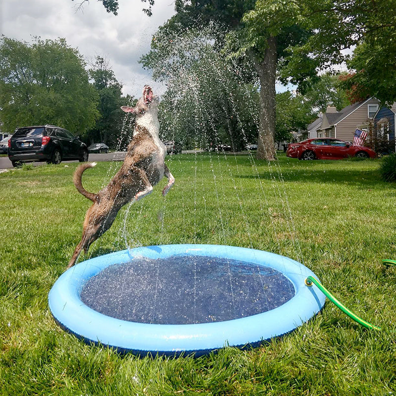 Piscina inflável para pets