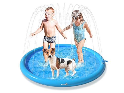 Piscina inflável para pets